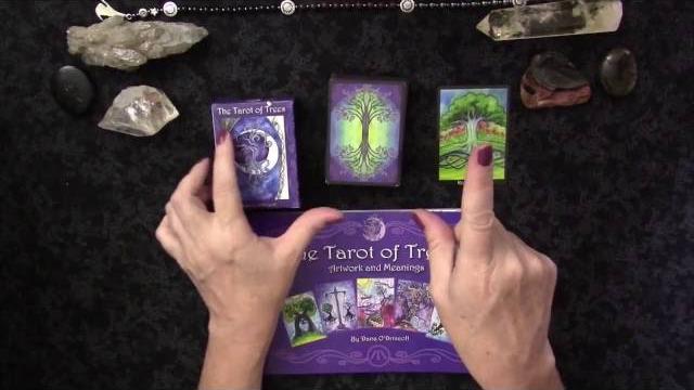 The tarot of trees (3rd edition is for sale!) The tarot of trees (3rd edition is for sale!)