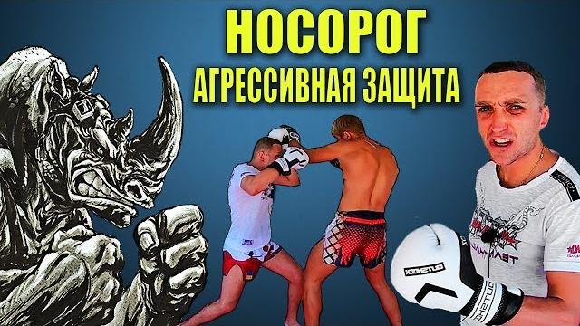 Защита в тайском боксе носорог. обучение, техника защиты в муай тай и мма. бокс для начинающих Защита в тайском боксе носорог. обучение, техника защиты в муай тай и мма. бокс для начинающих