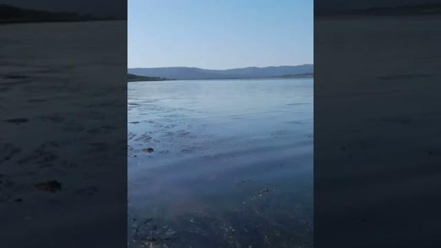 Мыс песчаный. Мыс песчаный.