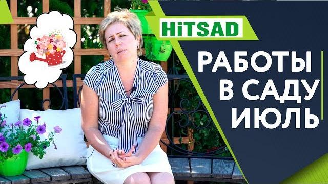 Важные работы в саду в июле ️ сад летом с хитсад тв Важные работы в саду в июле ️ сад летом с хитсад тв