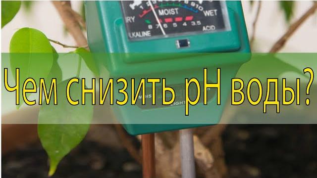 Чем лучше снизить ph воды? эксперимент с азотной, ортофосфорной, лимонной к-той и фосфатом мочевины. Чем лучше снизить ph воды? эксперимент с азотной, ортофосфорной, лимонной к-той и фосфатом мочевины.