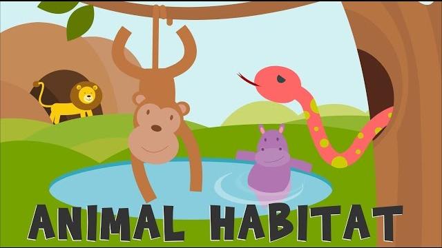 Animal habitats | animal homes | animals video for kids | Animal habitats | animal homes | animals video for kids |