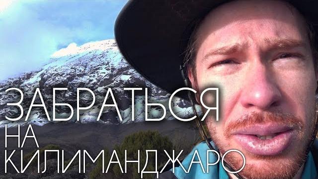 Как забраться на килиманджаро? ️ (адвокат егоров, двое и алое, бантик бой, стас давыдов) Как забраться на килиманджаро? ️ (адвокат егоров, двое и алое, бантик бой, стас давыдов)
