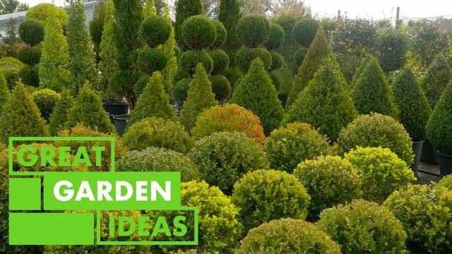 World of topiary | garden | great home ideas World of topiary | garden | great home ideas