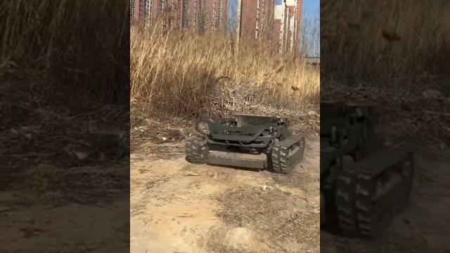 Газонокосилка гусенечная. стрижка газона. чистка газона. #газонокосилка #газон #стрижкагазона Газонокосилка гусенечная. стрижка газона. чистка газона. #газонокосилка #газон #стрижкагазона