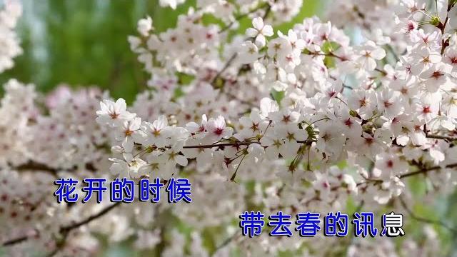 徐铭志 清明梨花雨(右伴左唱) 徐铭志 清明梨花雨(右伴左唱)