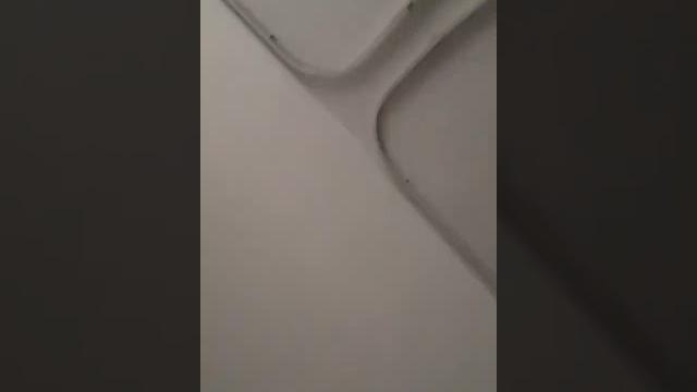 大学生足控 恋脚 大学生足控 恋脚
