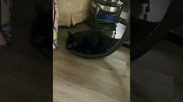 Kits vacuum bed Kits vacuum bed