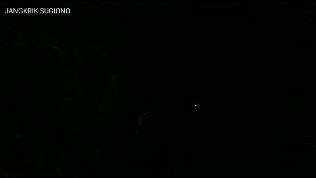 Film pendek jangkrik sugiono Film pendek jangkrik sugiono