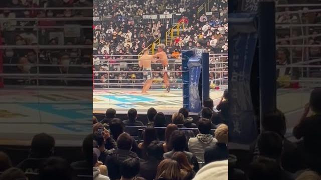 ヤーマンが皇治に勝つ ヤーマンが皇治に勝つ