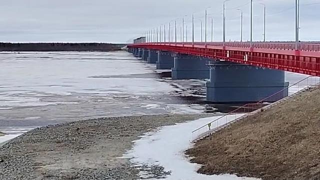 25 мая 2025 г. 25 мая 2025 г.