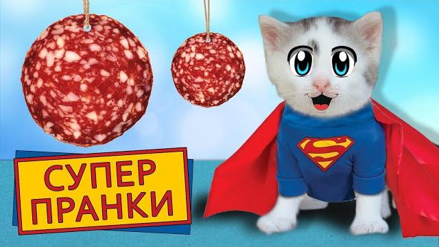 Смешные летние пранки! приколы для пары кот малыш и кошечка мурка! 5 смешных розыгрышей над друзьями Смешные летние пранки! приколы для пары кот малыш и кошечка мурка! 5 смешных розыгрышей над друзьями