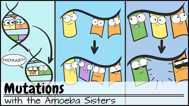 Mutations (updated) Mutations (updated)