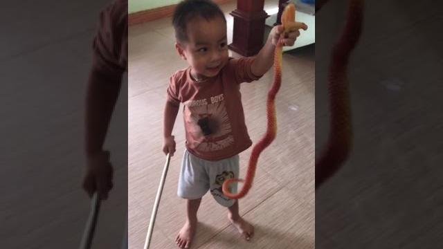 Chuyên gia bắt rắn tí hon p3 - cái kết thật bất ngờ - giaminh_vlog Chuyên gia bắt rắn tí hon p3 - cái kết thật bất ngờ - giaminh_vlog