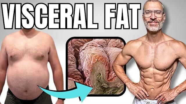 Truth about belly fat | how to lose it Truth about belly fat | how to lose it
