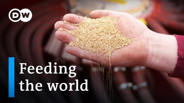 Food security - a growing dilemma | dw documentary Food security - a growing dilemma | dw documentary