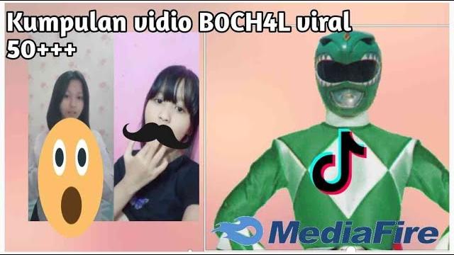 B0c1l viral B0c1l viral