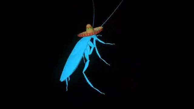 Rainbow cockroach dances to la cucaracha 10 hours Rainbow cockroach dances to la cucaracha 10 hours