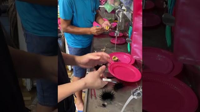 馬糞海膽、紫海膽,現剖處理過程 馬糞海膽、紫海膽,現剖處理過程