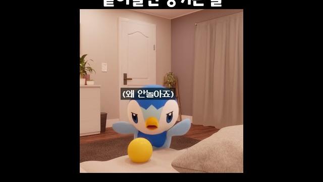 팽도리랑 함께 살면 겪게되는 일? 팽도리랑 함께 살면 겪게되는 일?