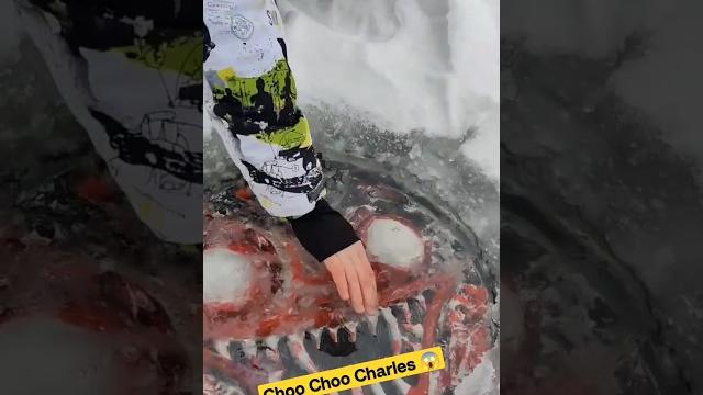 Found choo choo charles in real life underwater! he attacked us! Found choo choo charles in real life underwater! he attacked us!