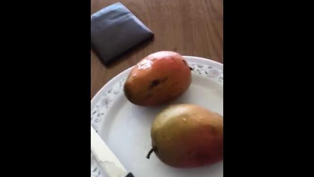 St julian mangoes St julian mangoes