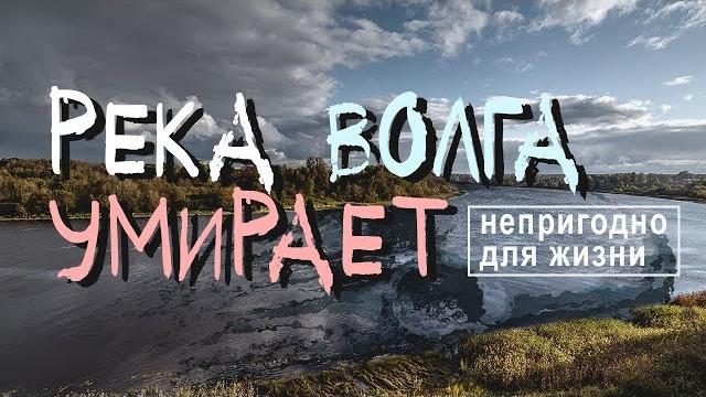 Река волга умирает! экологическая катастрофа неизбежна. Река волга умирает! экологическая катастрофа неизбежна.
