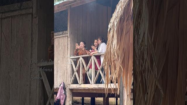 Vientiane to gibbons experience in bokeo province #music #travel #thegibbonsexperience #trend Vientiane to gibbons experience in bokeo province #music #travel #thegibbonsexperience #trend