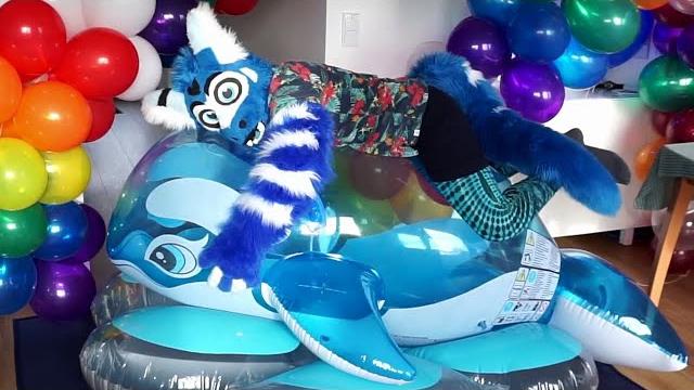 #furry bursting #inflatable whale & #balloons #furry bursting #inflatable whale & #balloons