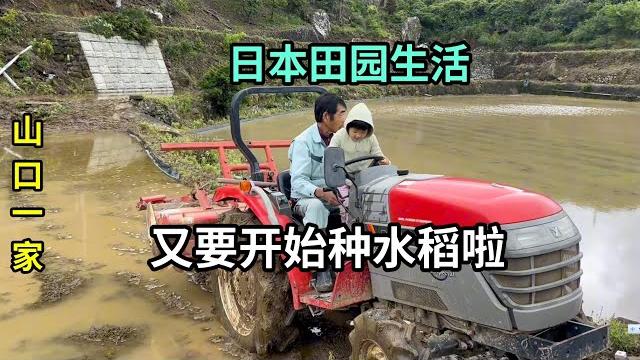 日本農村開始種水稻了,喜娜也跟著爸爸下地了,開始忙起來了 日本農村開始種水稻了,喜娜也跟著爸爸下地了,開始忙起來了