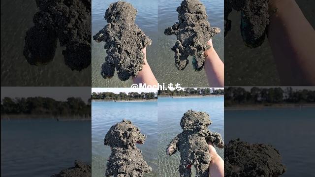 Newest mochi funny video #cocomelon #mochi #funny Newest mochi funny video #cocomelon #mochi #funny