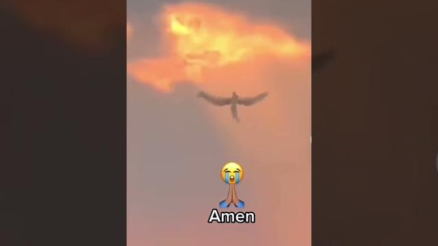 Angel caught on camera ️#shorts #parati Angel caught on camera ️#shorts #parati