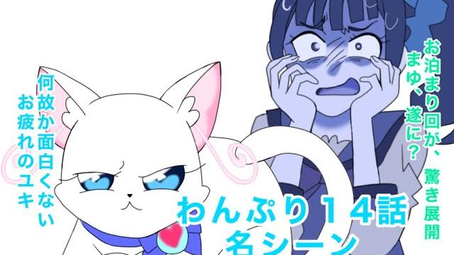 わんだふるぷりきゅあ!14話の名シーン わんだふるぷりきゅあ!14話の名シーン