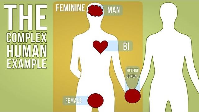Human sexuality is complicated... Human sexuality is complicated...