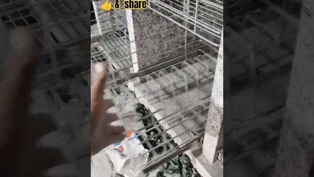Kitchen basket #viral #shorts Kitchen basket #viral #shorts