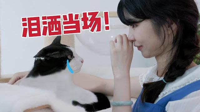 请猫咪沟通师来家里,竟让猫和主人抱头痛哭?!|花花与三猫 cat live 请猫咪沟通师来家里,竟让猫和主人抱头痛哭?!|花花与三猫 cat live