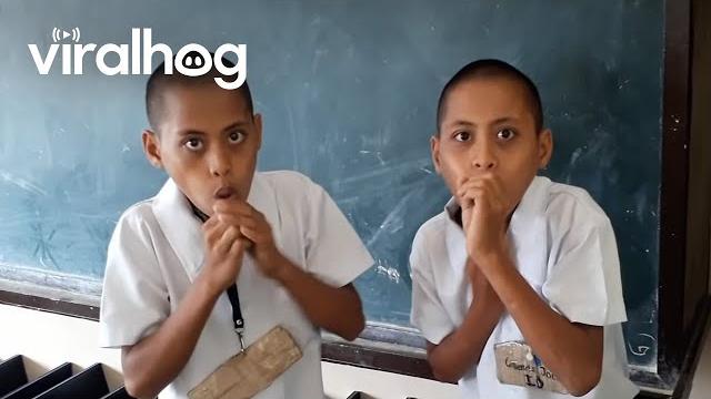 Beat boxing twins || viralhog Beat boxing twins || viralhog