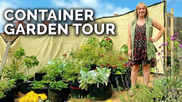 She learned to garden in a cult | container garden tour She learned to garden in a cult | container garden tour