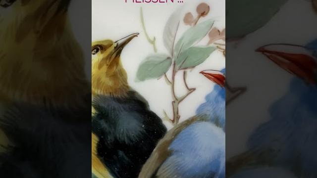 Meissen!!! Meissen!!!