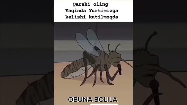 Жанзий #жанзе #узбекистан #клип Жанзий #жанзе #узбекистан #клип