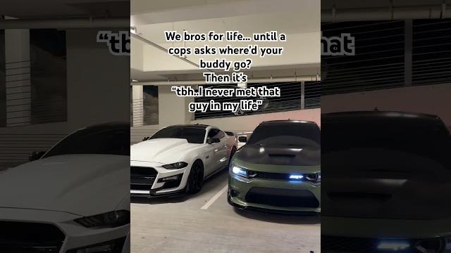 No clue #bros #brother #funny #musclecar #police #mustang #392 #v8 #hemi #coyote #ford #mopar No clue #bros #brother #funny #musclecar #police #mustang #392 #v8 #hemi #coyote #ford #mopar