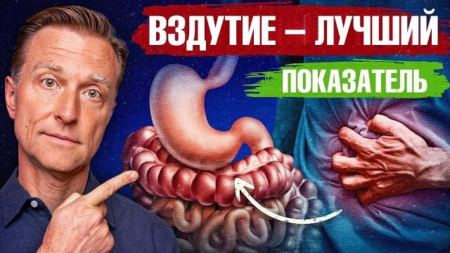 Если у вас вздутие живота проверьте свой рацион. Если у вас вздутие живота проверьте свой рацион.