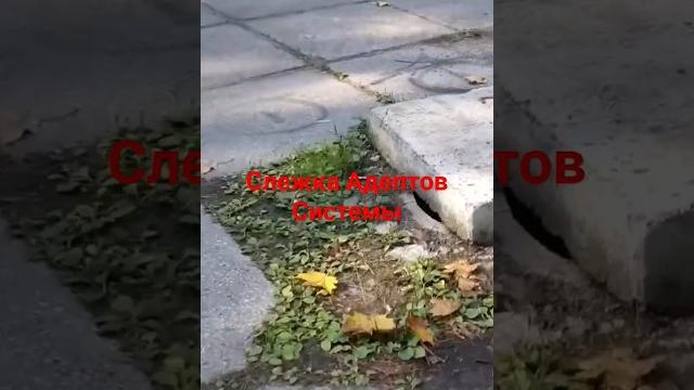 Коды матрицы на авто Коды матрицы на авто