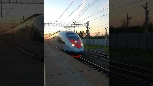 Сапсан проносится мимо платформы. самый быстрый поезд россии. скоростной поезд летит по рельсам. эвс Сапсан проносится мимо платформы. самый быстрый поезд россии. скоростной поезд летит по рельсам. эвс