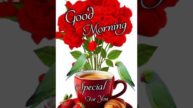 Good morning || beautiful #shorts #good #morning #whatsapp #status #video #viral #video #hindi #song Good morning || beautiful #shorts #good #morning #whatsapp #status #video #viral #video #hindi #song