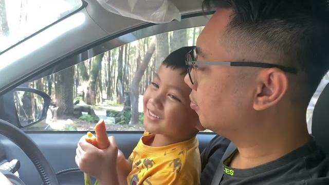 Taman safari | enchanted forest Taman safari | enchanted forest