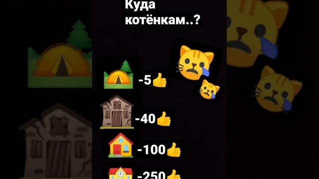 Спасите котенков.. Спасите котенков..