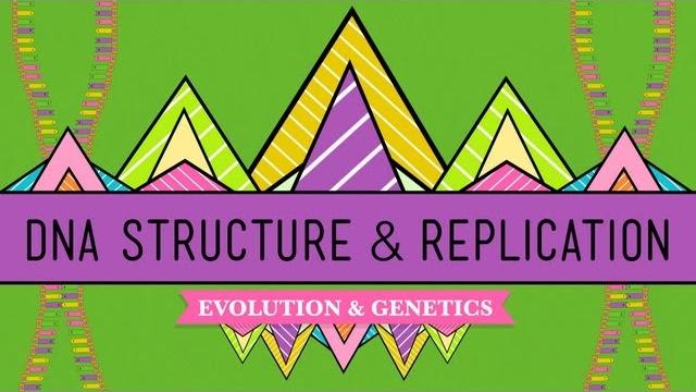 Dna structure and replication: crash course biology #10 Dna structure and replication: crash course biology #10