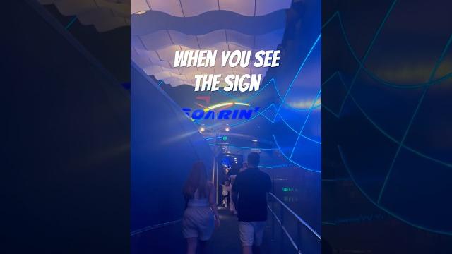 #soarin #soaring #epcot #disneyworld #themepark #greatest #again #ambient #feels #righthere #soarin #soaring #epcot #disneyworld #themepark #greatest #again #ambient #feels #righthere