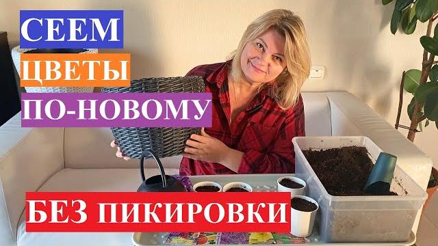 Сеем цветы по-новому, без пикировки! Сеем цветы по-новому, без пикировки!
